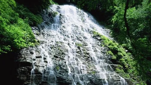 电子高标准节能